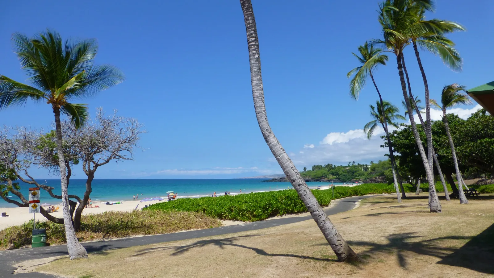 Big Island, Hawaii – Palmengesäumter Strand mit türkisem Meer