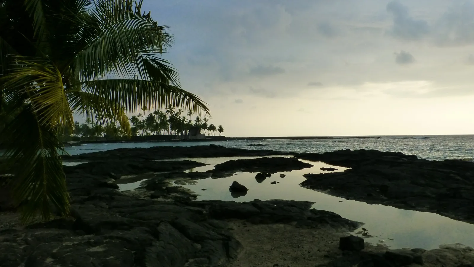 Hawaii – Vulkanküste mit Palmen im Abendlicht