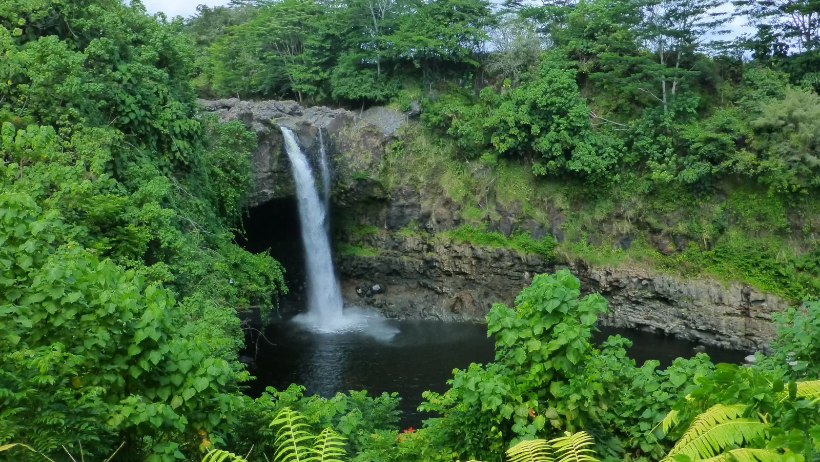 Hawaii, Big Island – Wasserfall in üppigem Regenwald