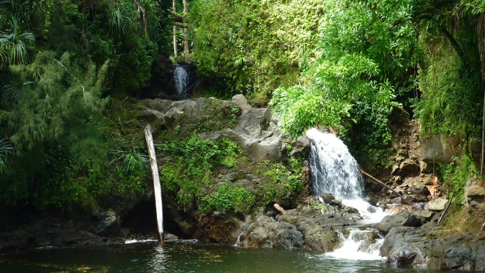 Hawaii – Tropischer Wasserfall im Dschungel
