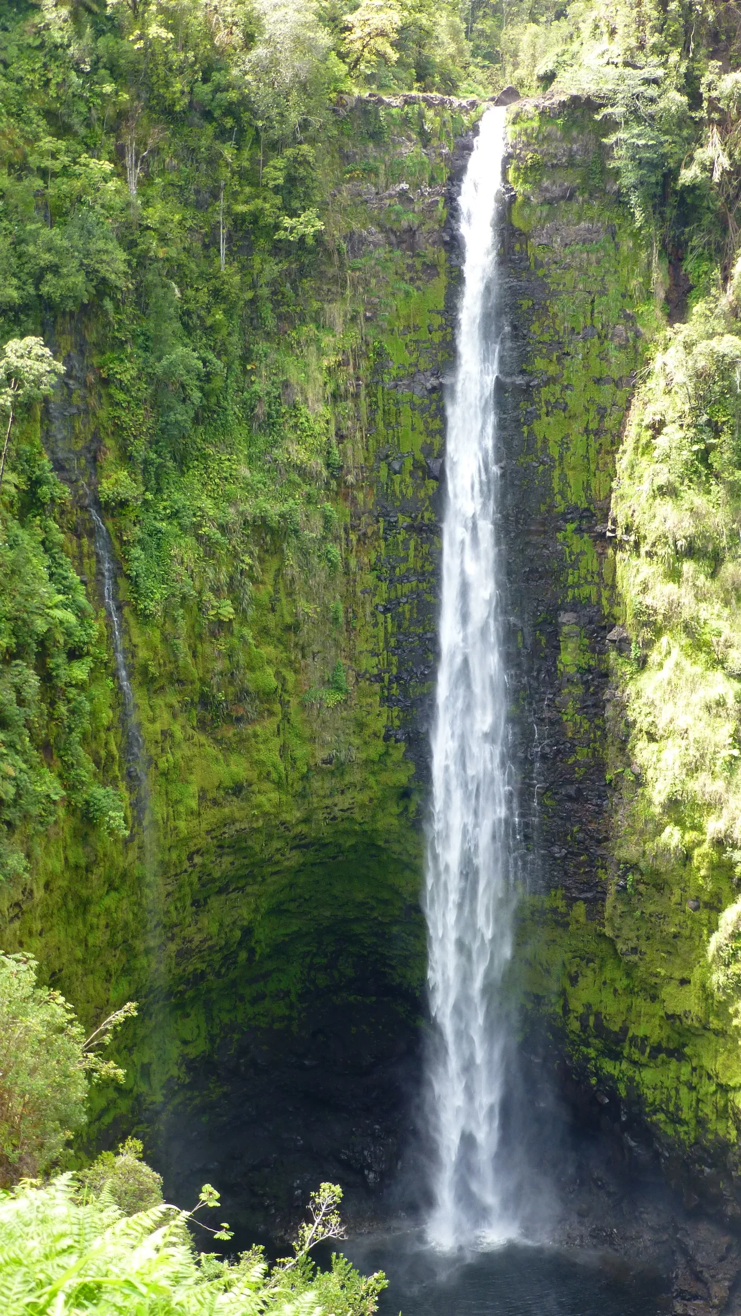 Hawaii – Akaka Falls, majestätischer Wasserfall