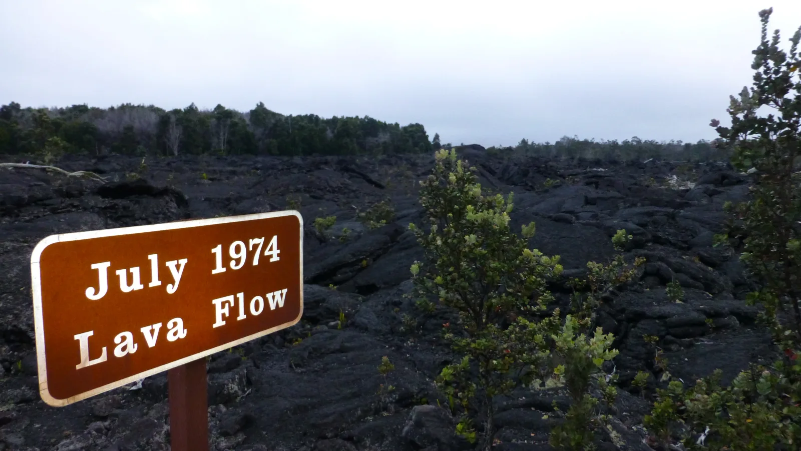 Hawaii – Tsunami Evacuation Area Warnschild