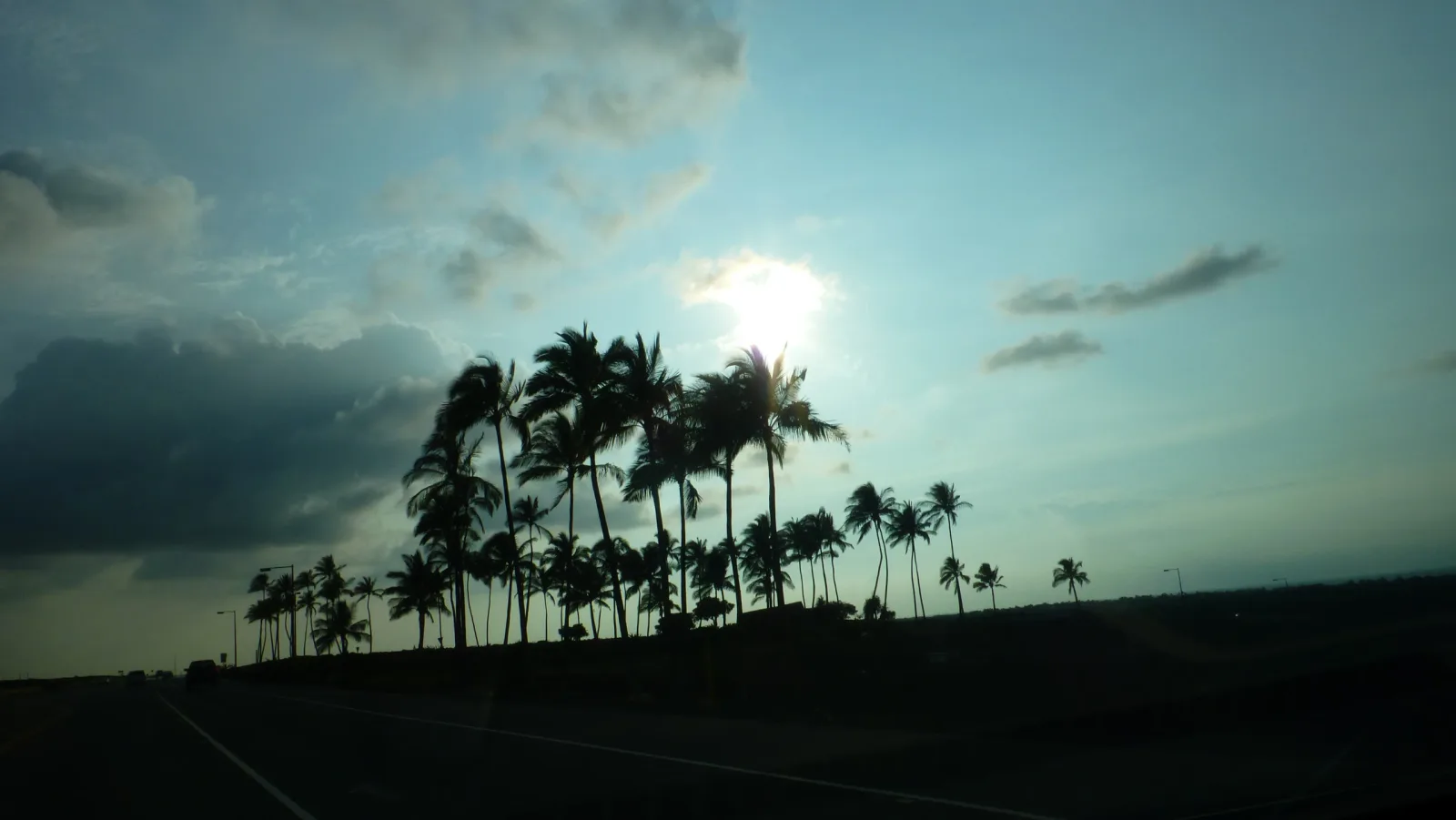 Big Island, Hawaii – Palmensilhouetten im Gegenlicht